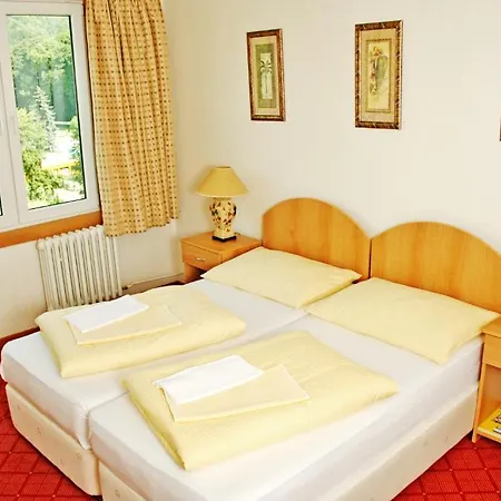 Hotel Patria 3*