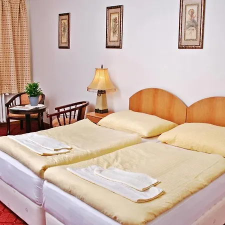 Hotel Patria Trutnov